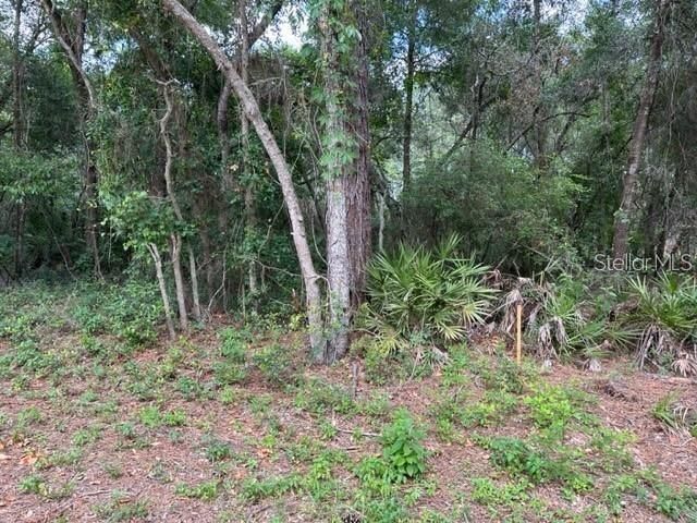 Active With Contract: $55,000 (1.22 acres)