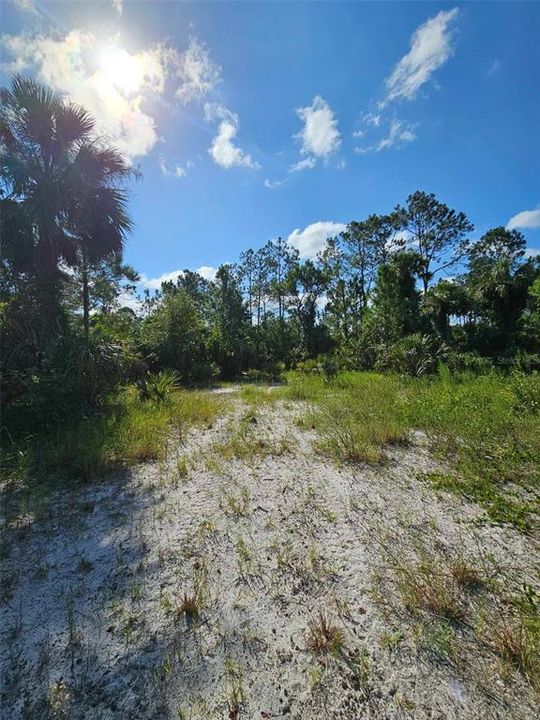 For Sale: $599,000 (8.64 acres)