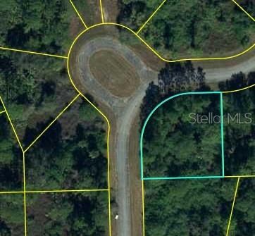 Recently Sold: $15,500 (0.32 acres)