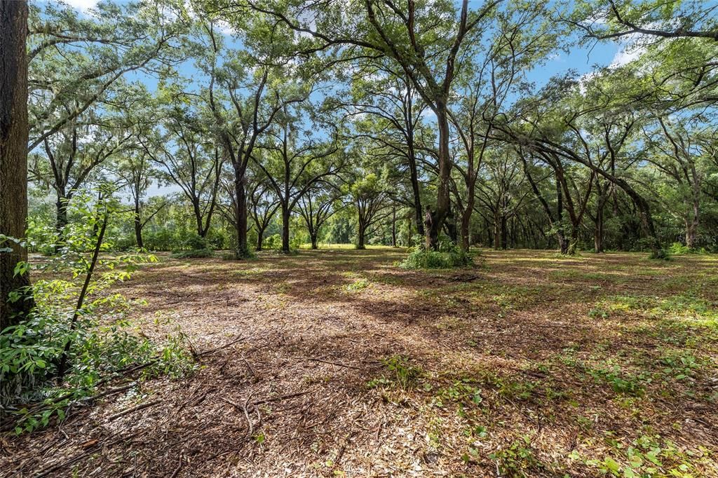 Active With Contract: $79,900 (2.05 acres)