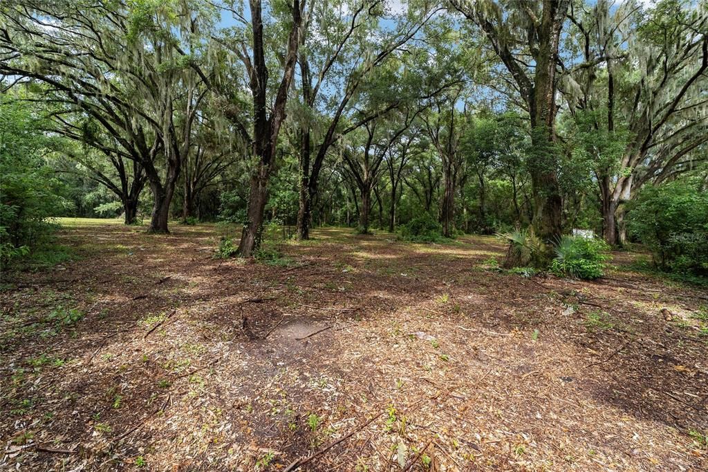 Active With Contract: $79,900 (2.05 acres)