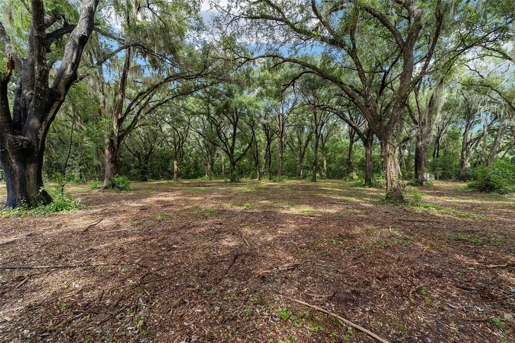 Active With Contract: $79,900 (2.05 acres)