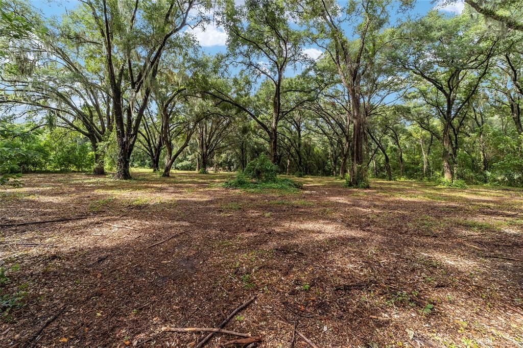 Active With Contract: $79,900 (2.05 acres)