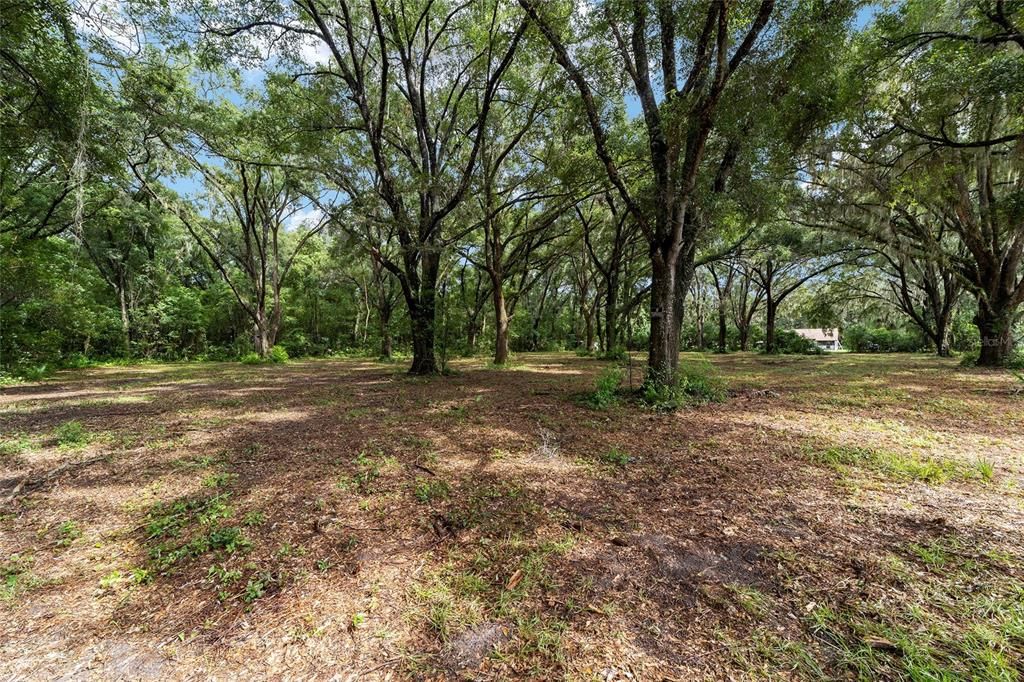 Active With Contract: $79,900 (2.05 acres)