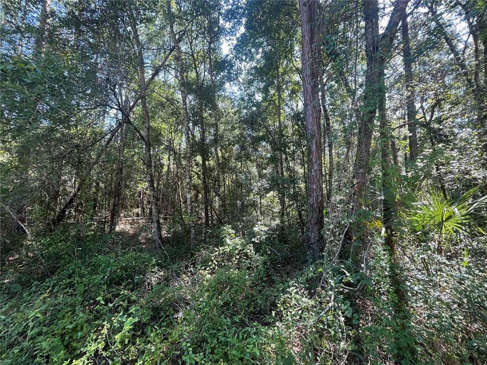 Vendido Recientemente: $21,900 (2.00 acres)