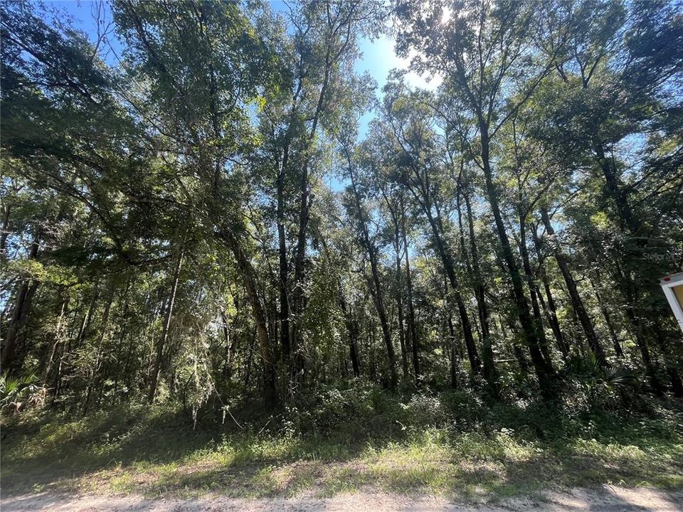 Recently Sold: $21,900 (2.00 acres)