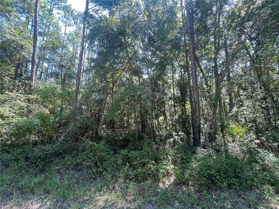 Vendido Recientemente: $21,900 (2.00 acres)