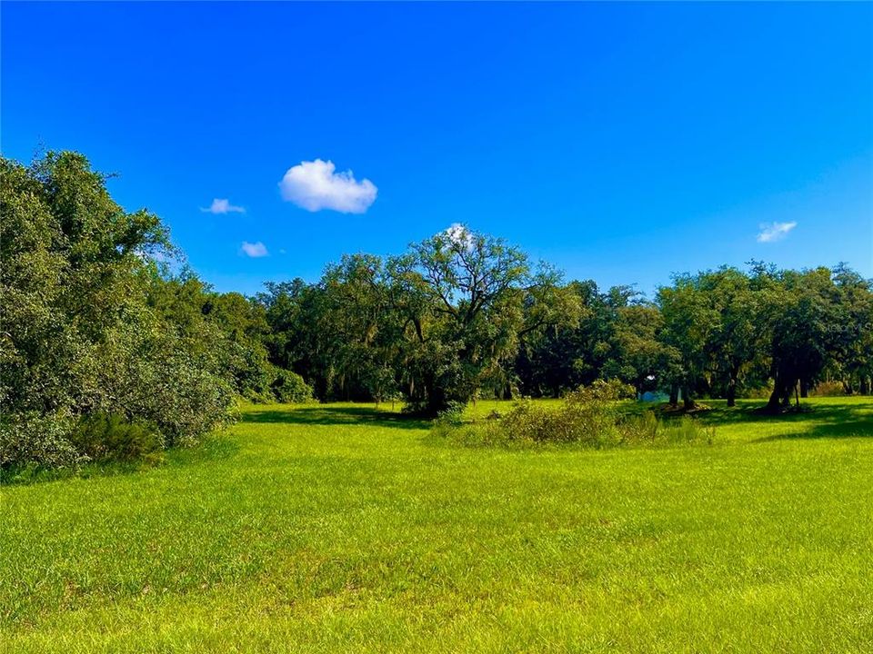 Recently Sold: $125,000 (5.63 acres)