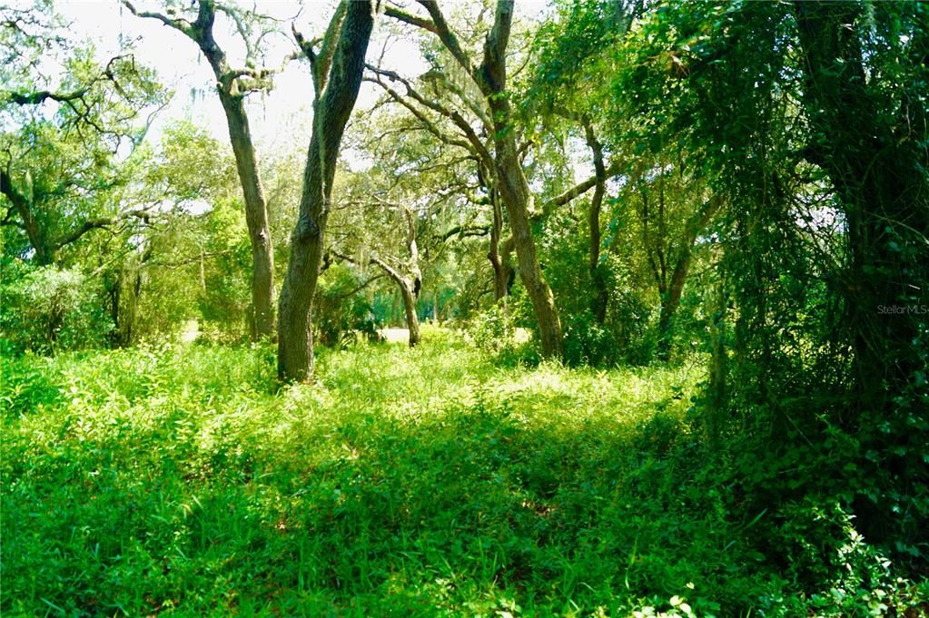 Vendido Recientemente: $125,000 (5.63 acres)