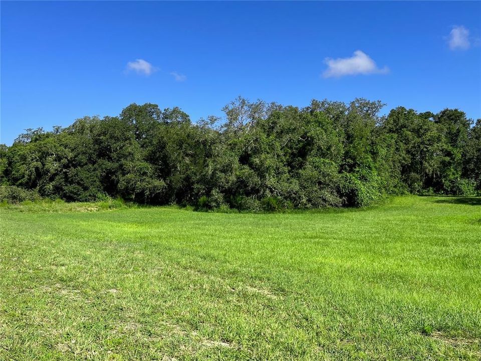 Recently Sold: $125,000 (5.63 acres)