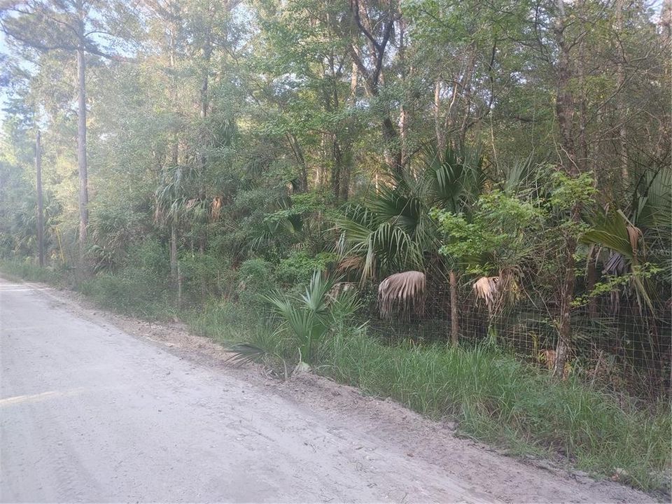 Activo con contrato: $24,900 (1.60 acres)