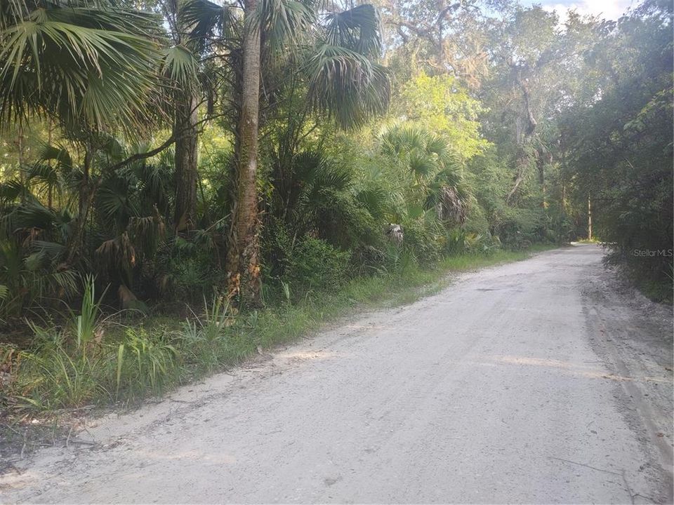 Active With Contract: $24,900 (1.60 acres)