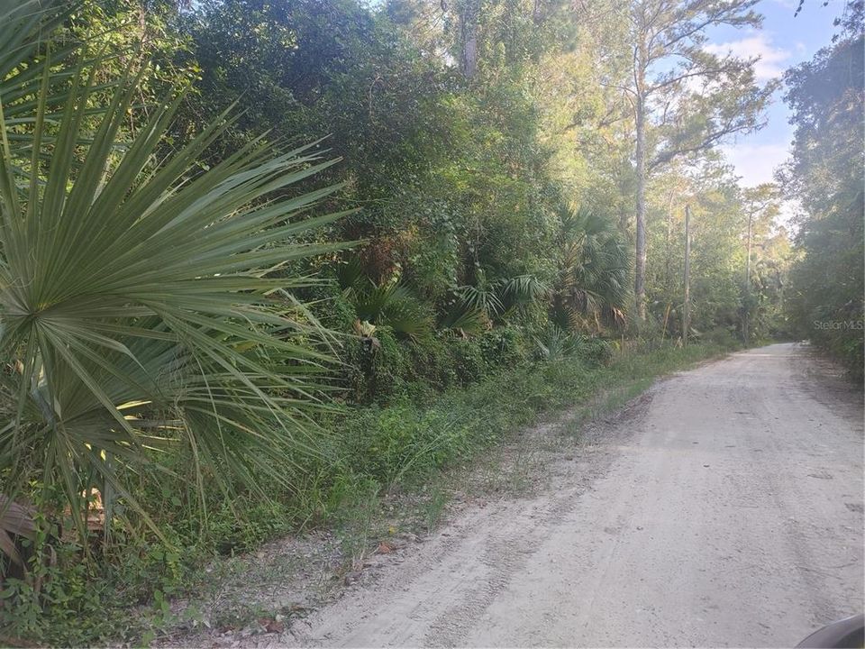 Active With Contract: $24,900 (1.60 acres)