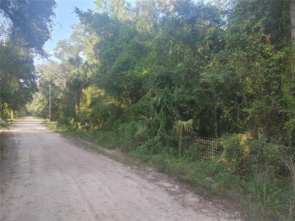 Active With Contract: $24,900 (1.60 acres)