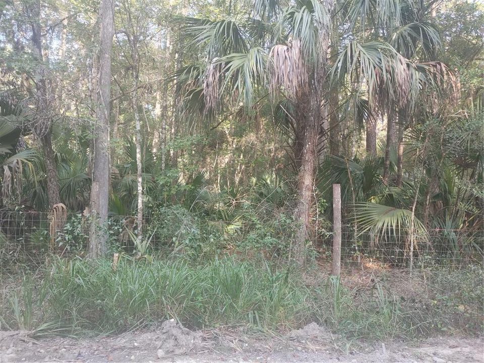 Active With Contract: $24,900 (1.60 acres)