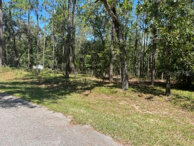 Recently Sold: $50,000 (1.13 acres)