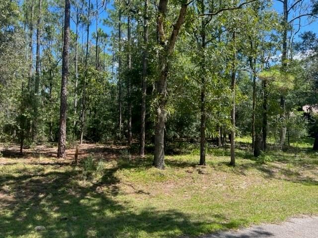 Recently Sold: $50,000 (1.13 acres)