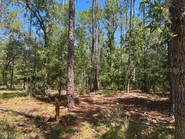 Recently Sold: $50,000 (1.13 acres)