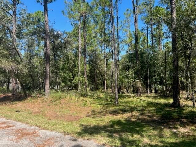 Recently Sold: $50,000 (1.13 acres)