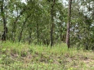 Недавно продано: $75,000 (3.36 acres)