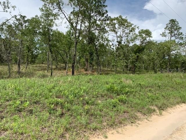 Recently Sold: $75,000 (3.36 acres)