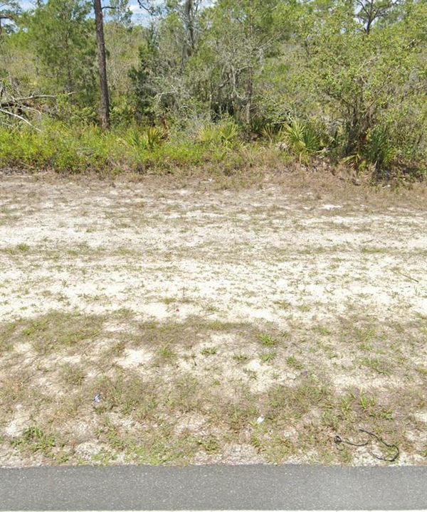 For Sale: $29,900 (0.23 acres)