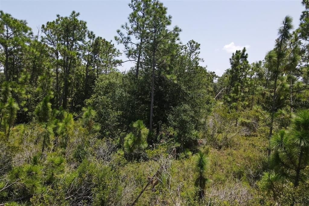 Recently Sold: $350,000 (5.21 acres)