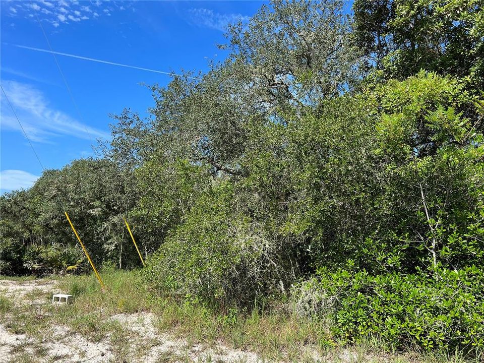 Active With Contract: $21,900 (0.47 acres)