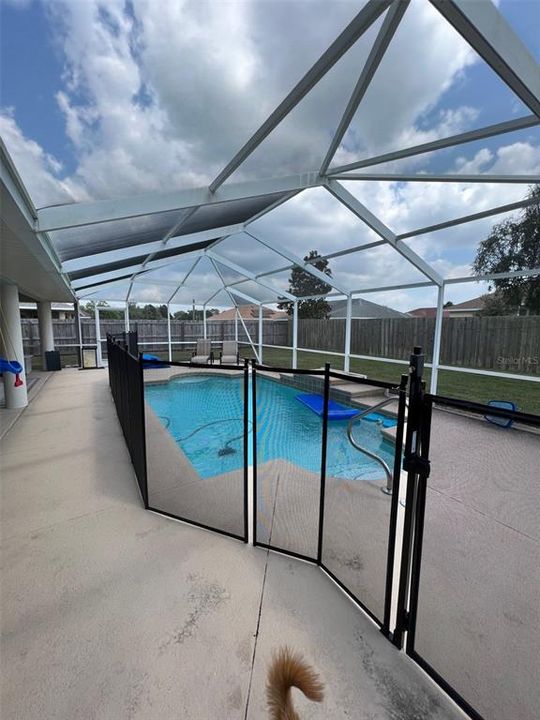 Screen in Patio and Pool