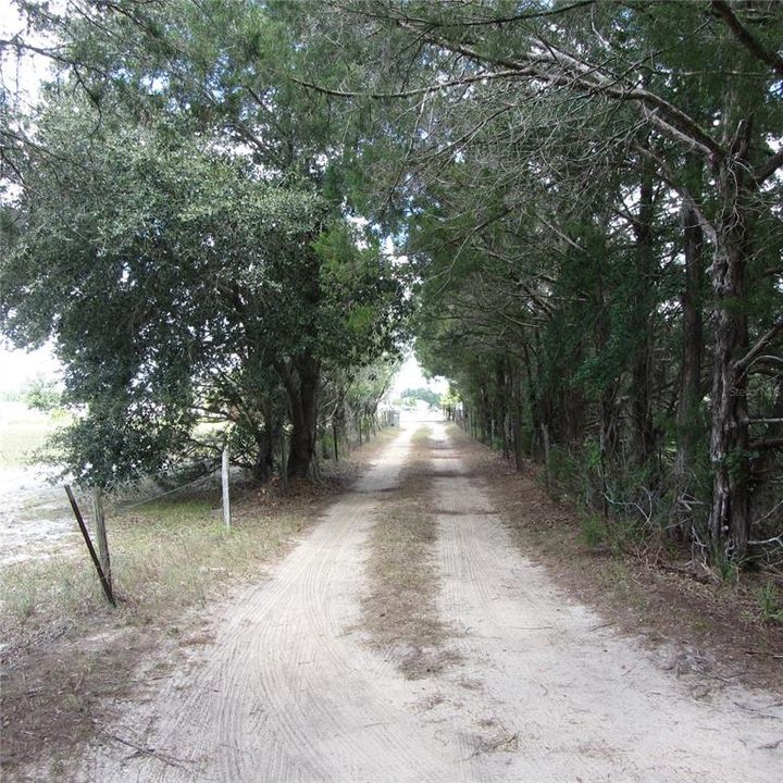 Tree lined entrance