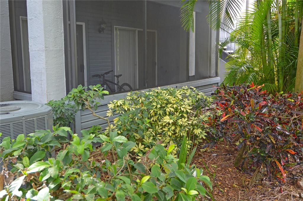 Active With Contract: $125,000 (1 beds, 1 baths, 729 Square Feet)