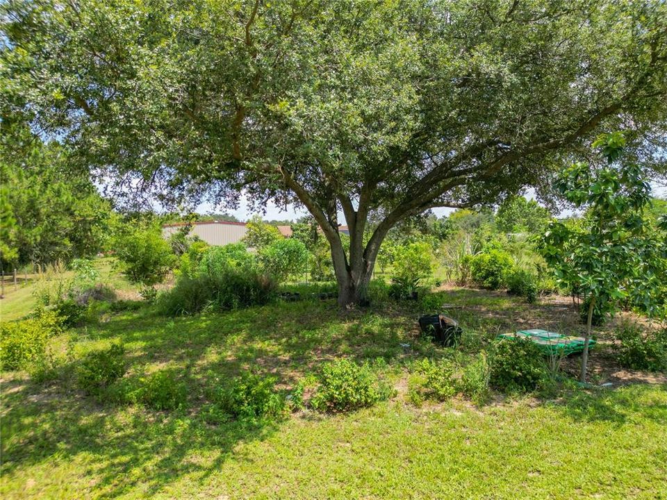 For Sale: $1,149,000 (3 beds, 2 baths, 2267 Square Feet)