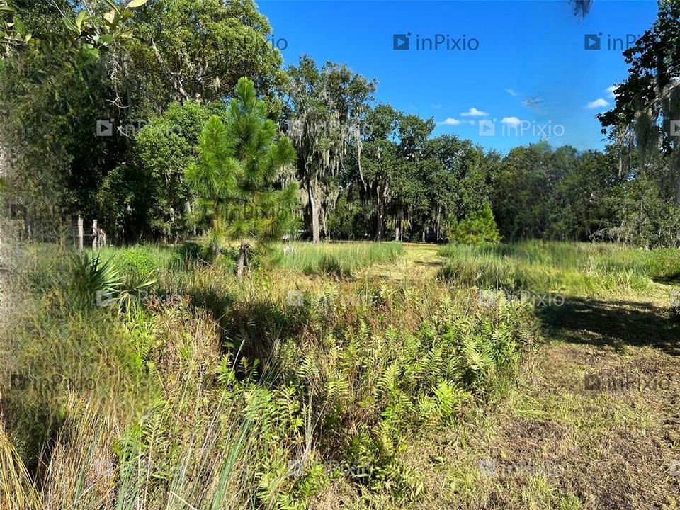 Active With Contract: $276,000 (6.67 acres)
