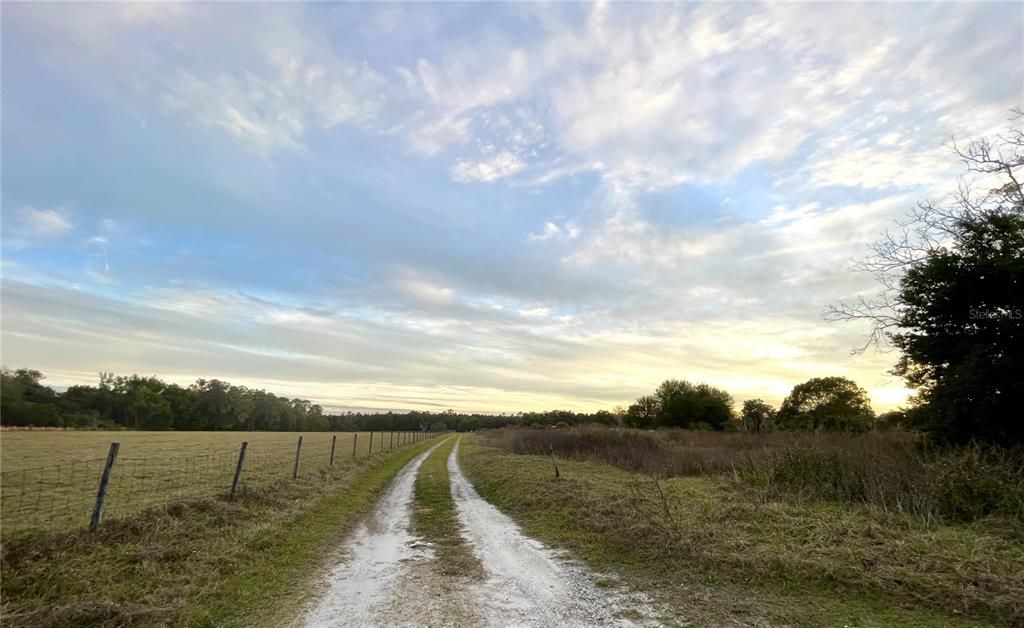 View of Easement Road