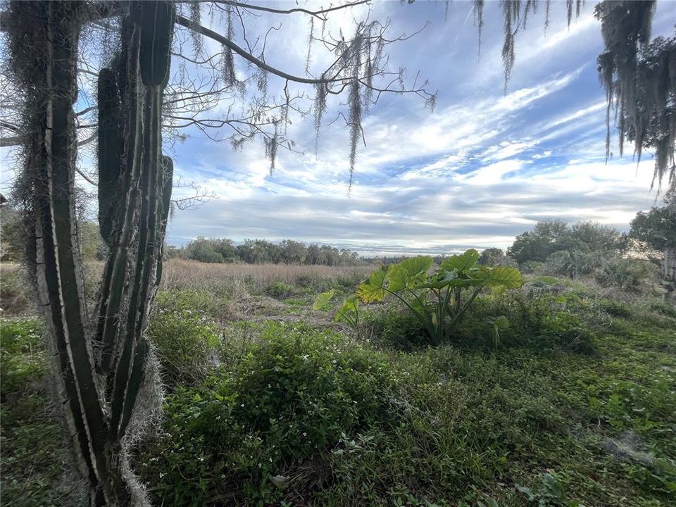 View of Acreage