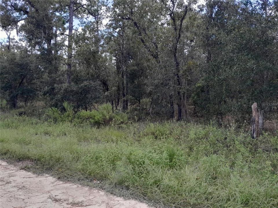 Recently Sold: $30,000 (1.25 acres)