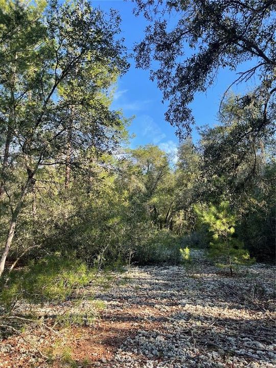 Recently Sold: $19,900 (1.14 acres)