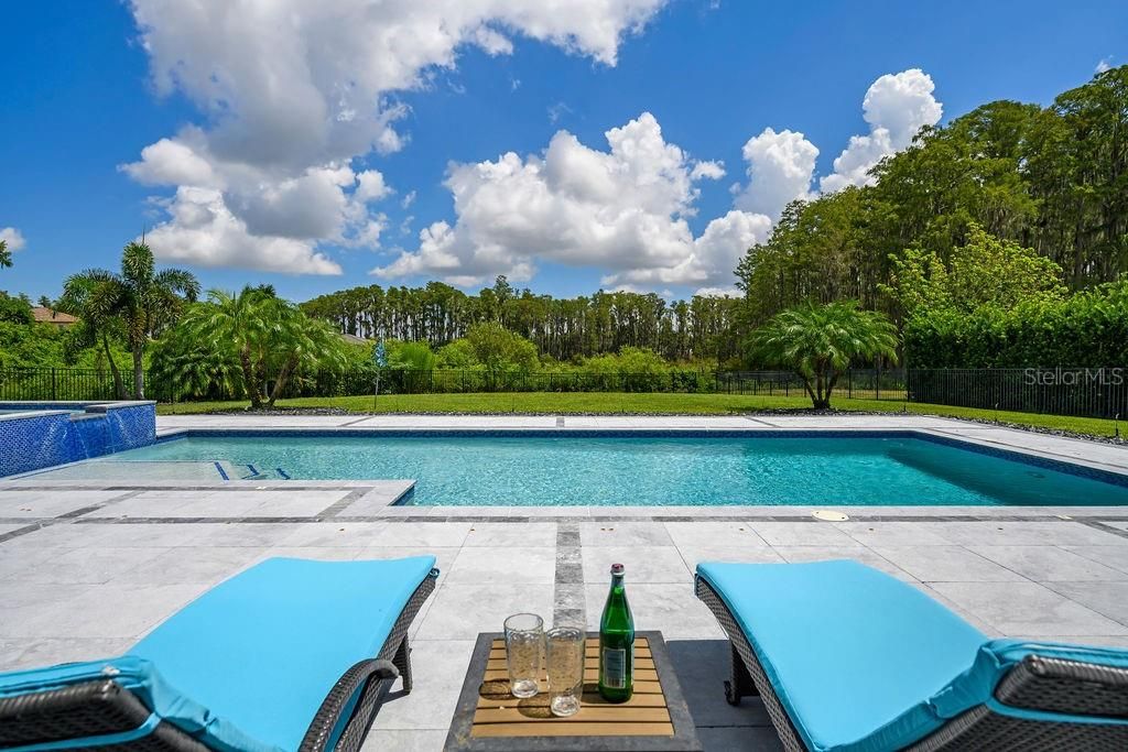 View from the triple sliders into the rear of property allows you to appreciate NO REAR NEIGHBORS. Expansive lot allows for oversized pool and pool deck of 72 feet by 45 feet all covered in Marble!