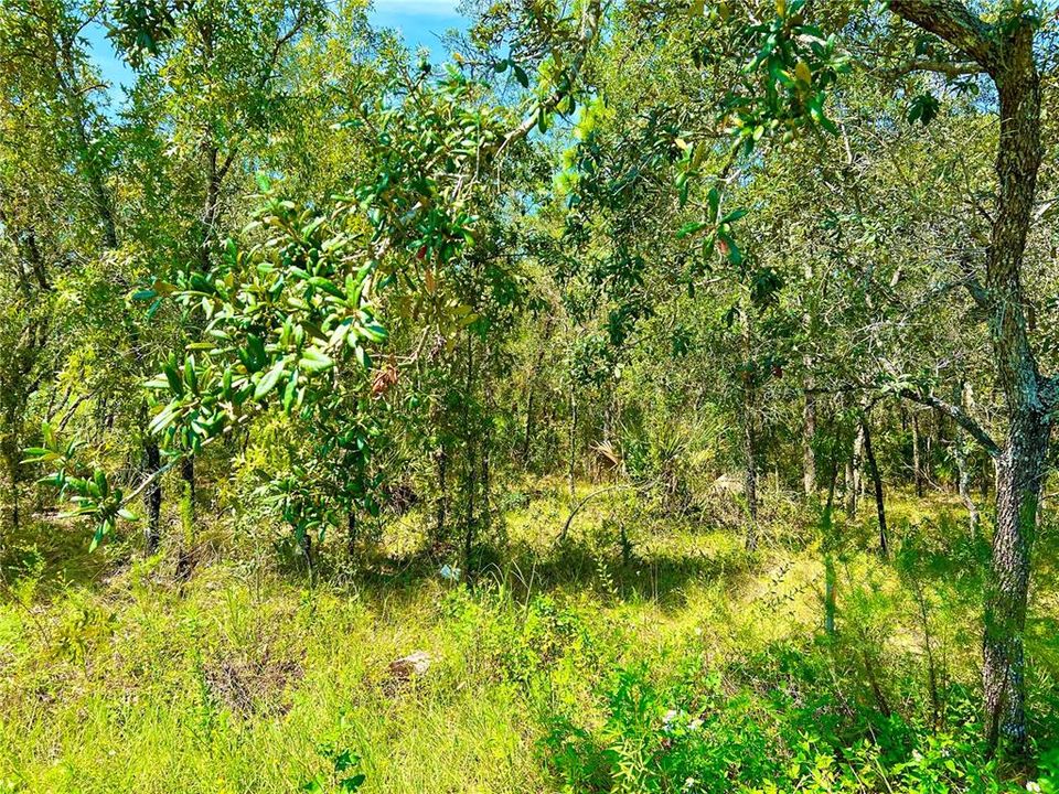 Recently Sold: $29,999 (0.40 acres)