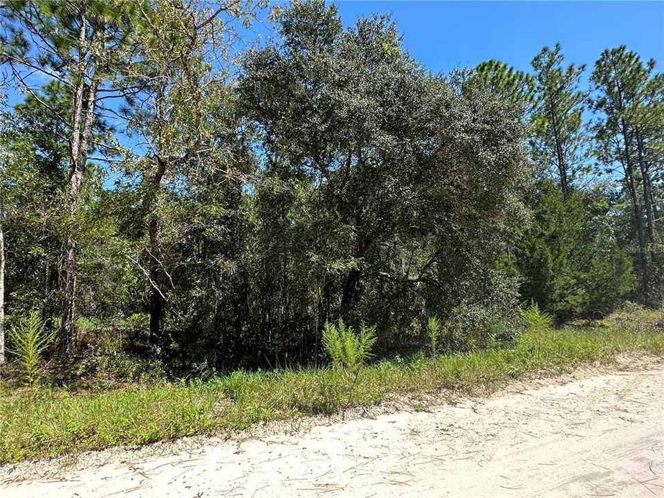 Vendido Recientemente: $14,900 (1.04 acres)