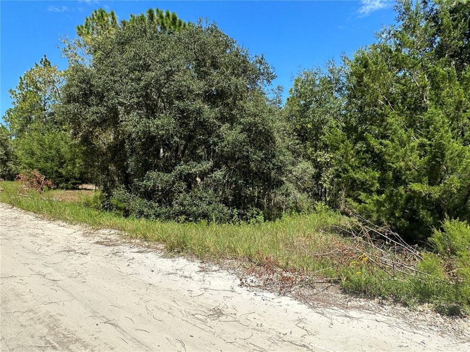 Recently Sold: $14,900 (1.04 acres)