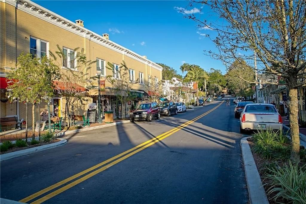 Only a short drive to Historic Downtown Mount Dora filled with quaint shopping, incredible restaurants, Festivals and Farmer's Market!