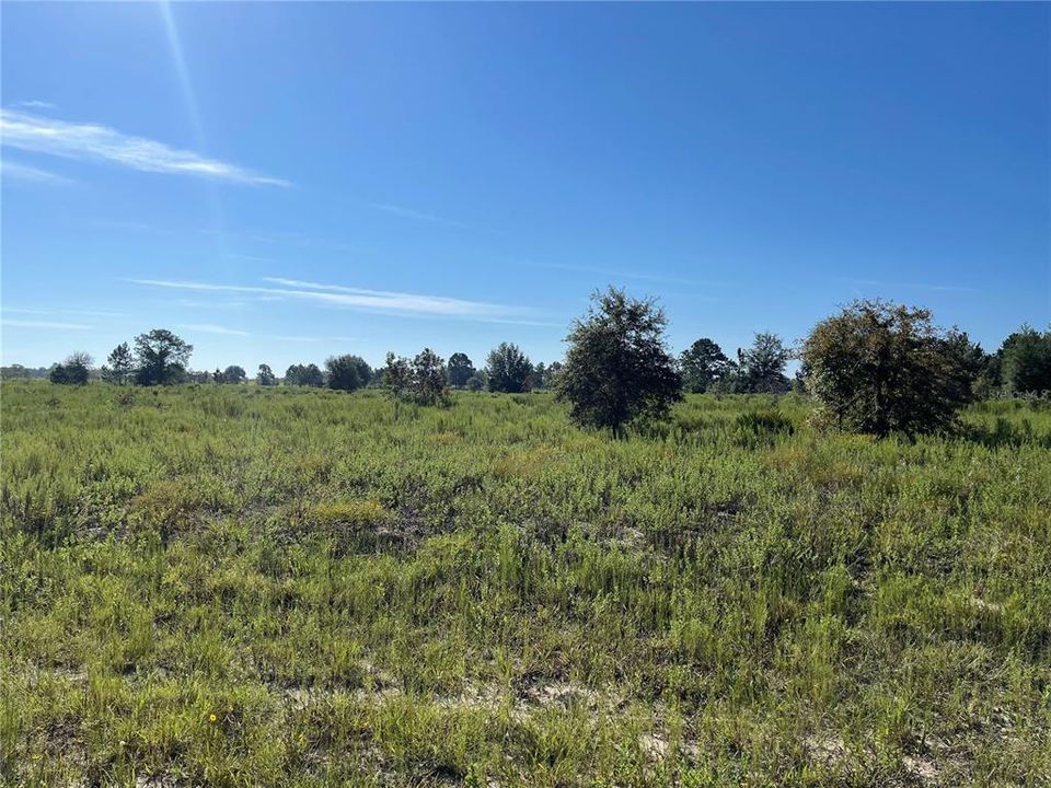 Recently Sold: $95,000 (5.00 acres)