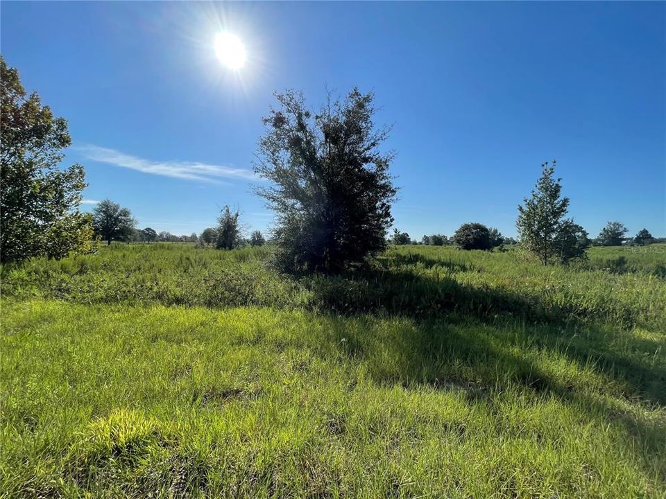 Recently Sold: $95,000 (5.00 acres)