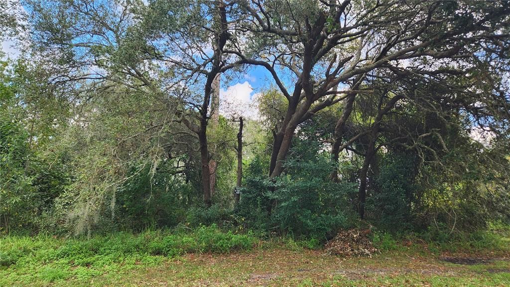 Recently Sold: $75,000 (0.27 acres)