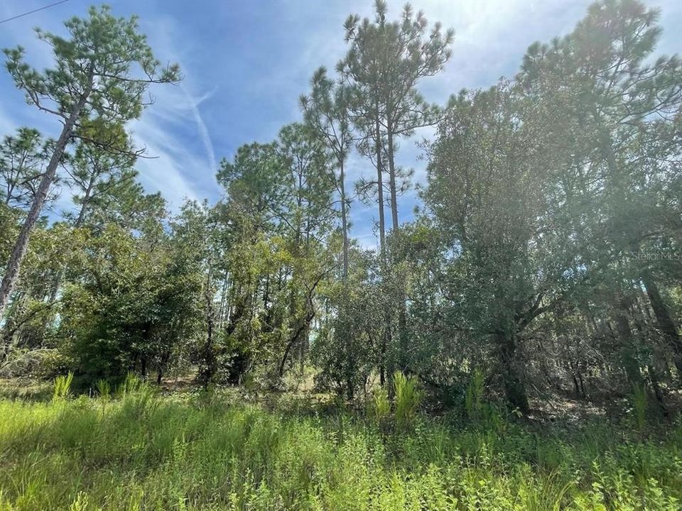 Recently Sold: $18,000 (1.00 acres)