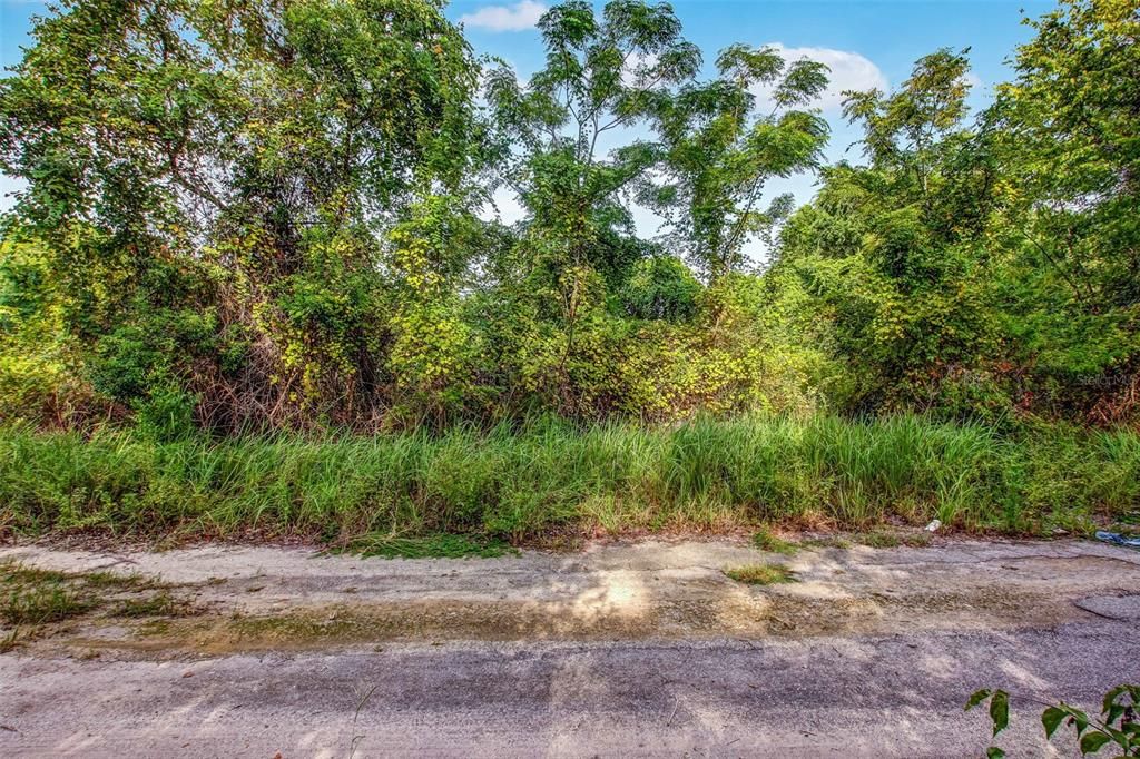 Active With Contract: $23,000 (0.31 acres)