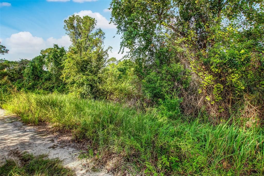 Active With Contract: $23,000 (0.31 acres)