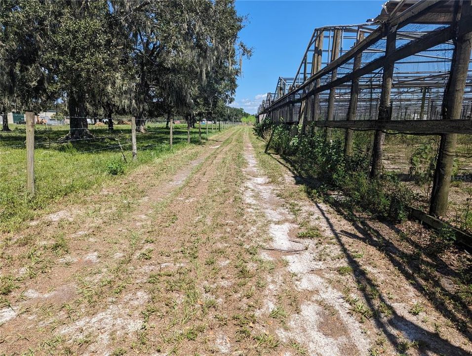 For Sale: $499,800 (5.00 acres)