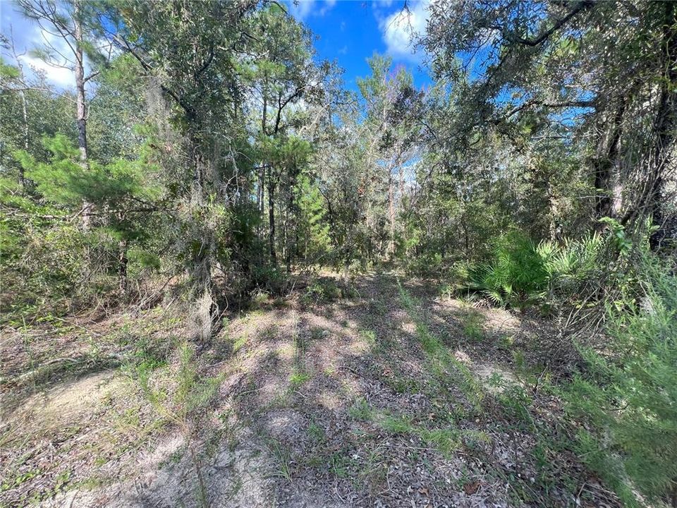 Recently Sold: $40,000 (1.20 acres)